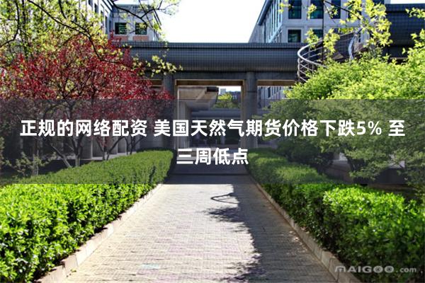 正规的网络配资 美国天然气期货价格下跌5% 至三周低点