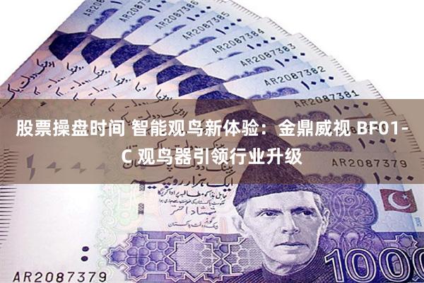 股票操盘时间 智能观鸟新体验：金鼎威视 BF01-C 观鸟器引领行业升级
