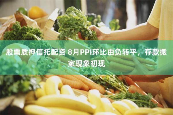 股票质押信托配资 8月PPI环比由负转平，存款搬家现象初现
